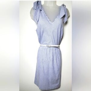 Lark & Ro Blue and White Striped V-Neck Dress